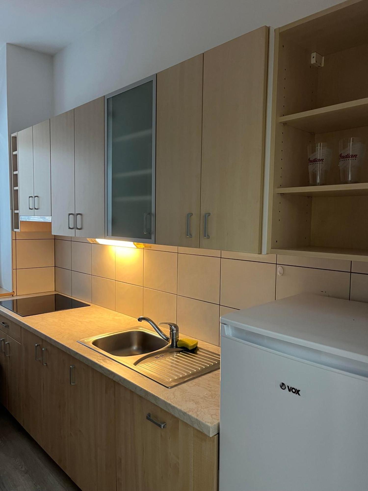 Blizu Centra In Na Robu Tivolija Apartma